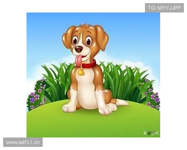 属狗企业家如何运用忠诚与智慧打造成功事业之路