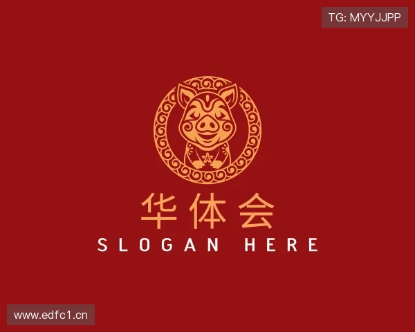 解读hth手机版登录·官网app下载